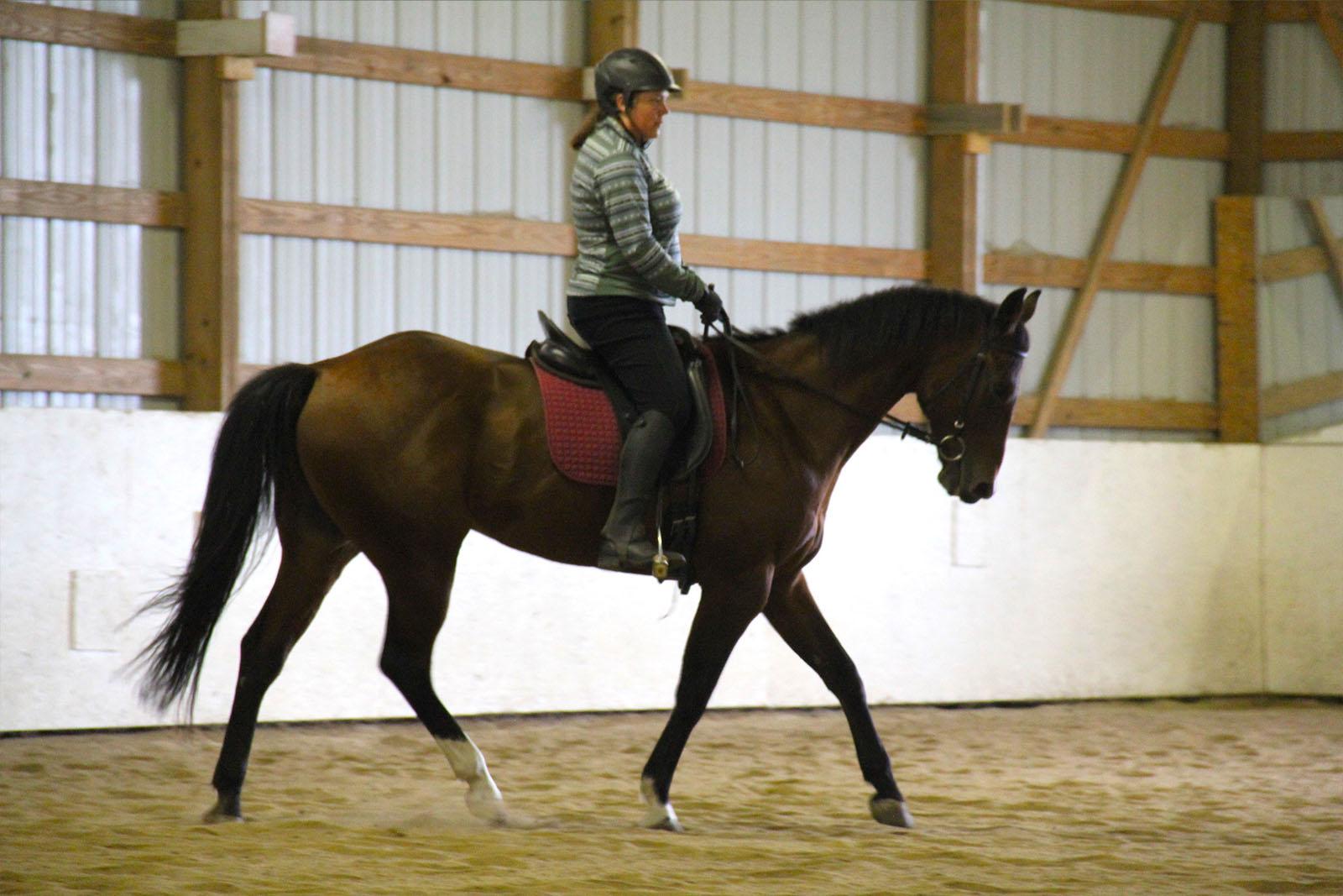 Staci Riding