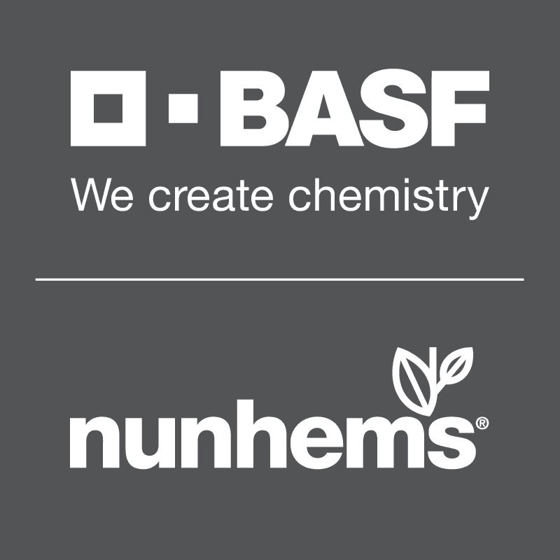 BASF Logo