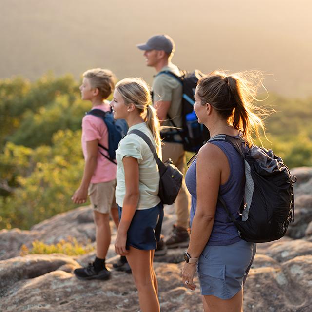 Blue Ox Pull of Adventure Campaign